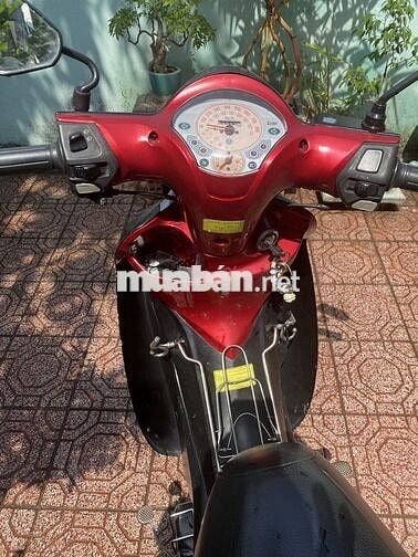 SYM Angela 50cc Đỏ đen Đã sử dụng