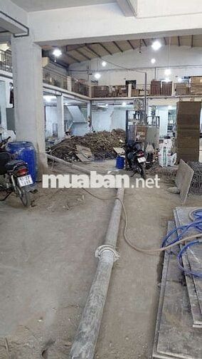 4 nam có sức khỏe tốt