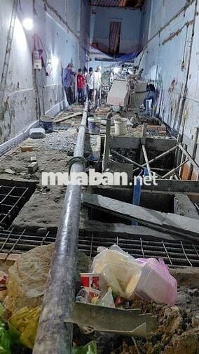 4 nam có sức khỏe tốt