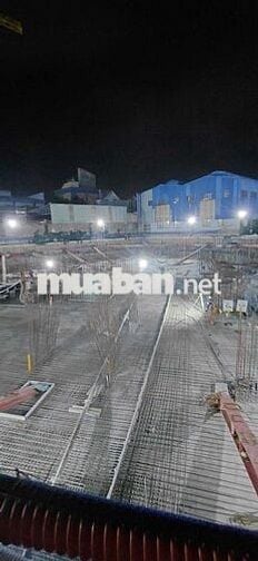 4 nam có sức khỏe tốt