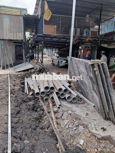 4 nam có sức khỏe tốt