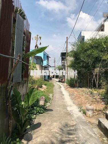 Bán nhà vi bằng hẻm tân hiệp15