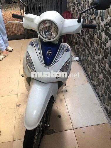 SYM Angela 50 Trắng