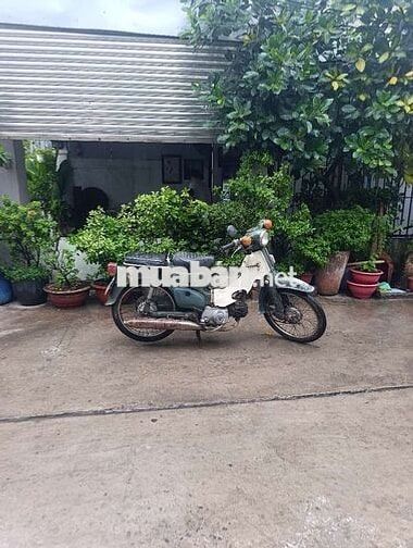 Honda Cub Xanh trắng