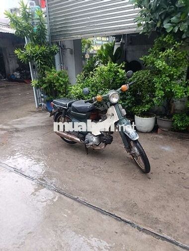 Honda Cub Xanh trắng