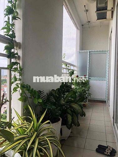 CHO THUÊ PHÒNG TRỌ CAO CẤP TRONG CHUNG CƯ CHARM PLAZA