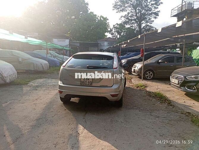 Ford Focus 2011 Vàng cát