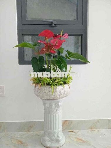 🏡 CHO THUÊ NHÀ 3 PHÒNG NGỦ GẦN BIỂN – SẴN SÀNG VÀO Ở NGAY