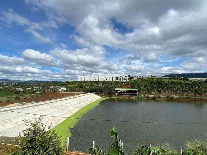 🌿 Chỉ 1ty650 Sở Hữu 1000m2 View Hồ Đẹp Mê – Sẵn 250m2 Thổ Cư