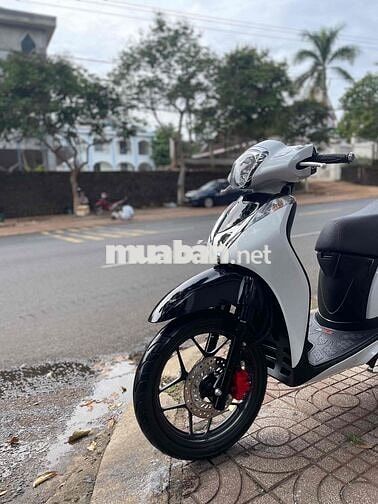 Honda SH Mode 2019 Trắng đen