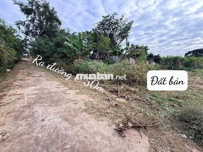 BÁN ĐẤT HẺM ĐƯỜNG C THÔN 3 CƯEBUR