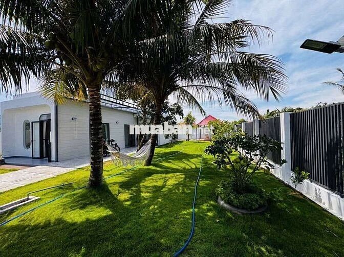 Nhà vườn 504 m² - xã Tân Điền, Tiền Giang (ĐT) gần biển Tân Thành