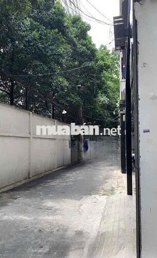Cho Thuê Nhà Đường Tân Hải, Tân Bình ( Kho Xưởng - KD Thoải Mái )