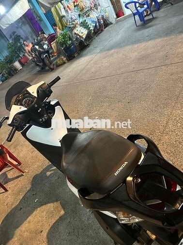 Honda SH Ý Trắng