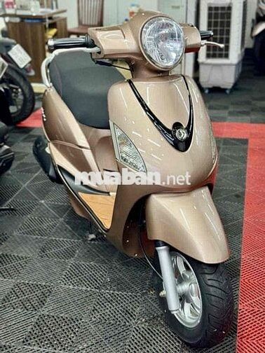 xe Atila Fi 2012