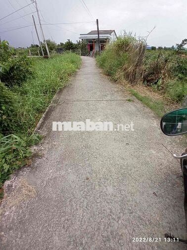 Siêu phẩm xây biệt thự sân vườn cách Aeon Mall TP Tân An 12km