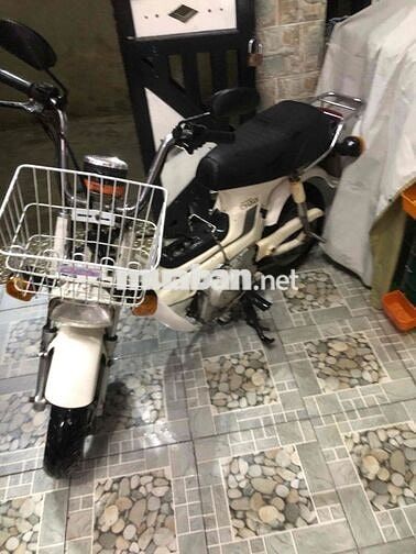 Honda Chaly81 có đề