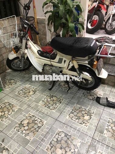 Honda Chaly81 có đề