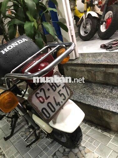 Honda Chaly81 có đề