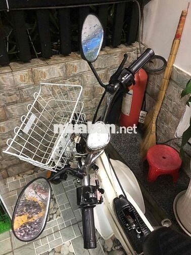Honda Chaly81 có đề