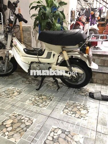 Honda Chaly81 có đề