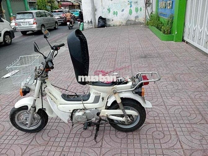 Honda Chaly81 có đề