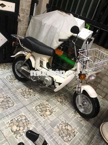 Honda Chaly81 có đề