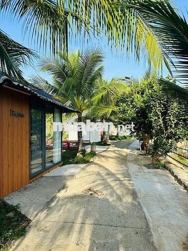 TÀI CHÍNH 850 TRIỆU ANH CHỊ EM KHÔNG NÊN BỎ QUA TÀI SẢN NÀY 