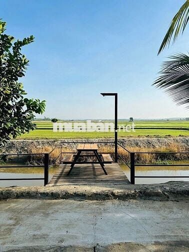 TÀI CHÍNH 850 TRIỆU ANH CHỊ EM KHÔNG NÊN BỎ QUA TÀI SẢN NÀY 