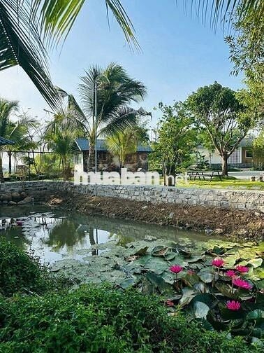 TÀI CHÍNH 850 TRIỆU ANH CHỊ EM KHÔNG NÊN BỎ QUA TÀI SẢN NÀY 