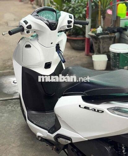 Honda Lead 2017 Trắng ngọc trai