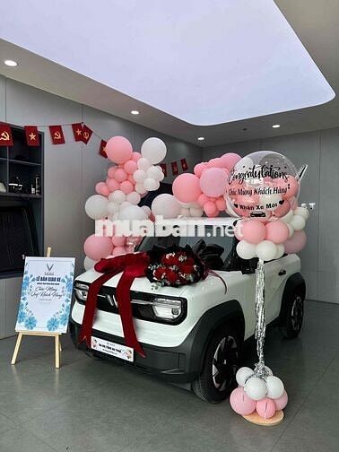 Xe điện VinFast VF 3 Plus Trắng