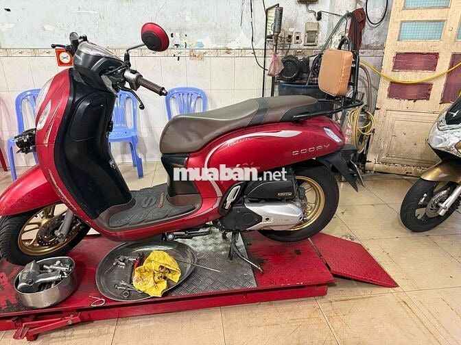 Honda Scoopy 2022 Đỏ