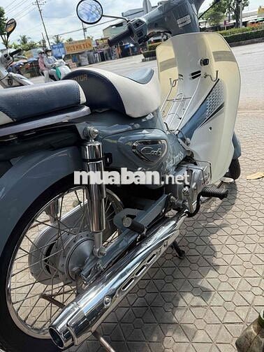Halim 50 2023 Xám trắng