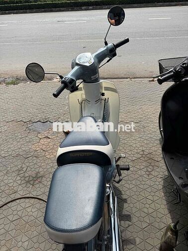 Halim 50 2023 Xám trắng