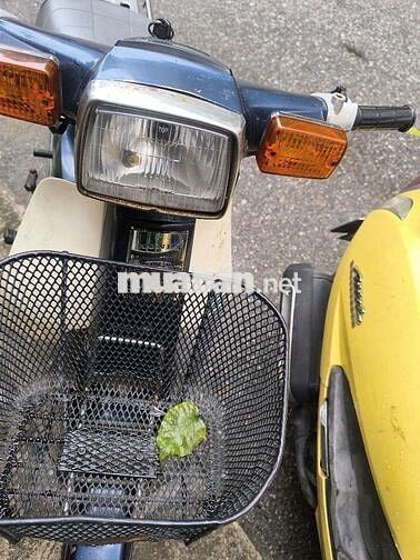 cub nhật 70cc