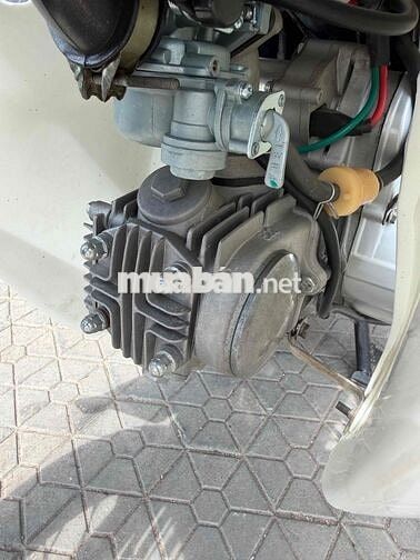 Halim 50 2023 Xám trắng