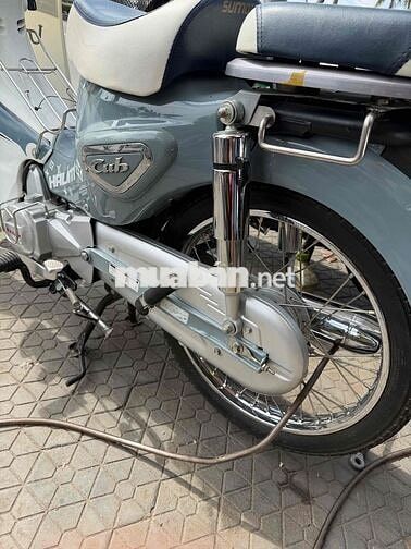 Halim 50 2023 Xám trắng