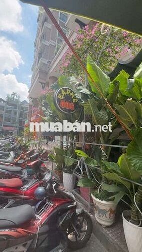 Nhân viên phục vụ quán cafe