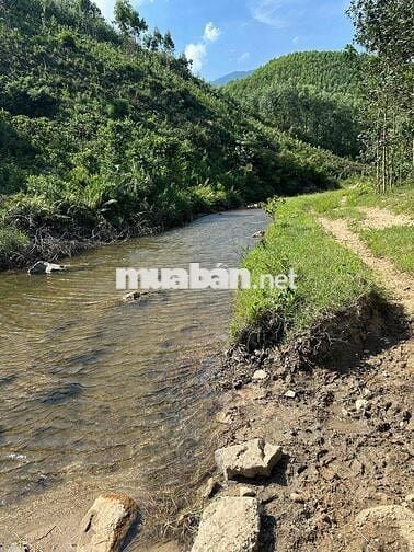 CẦN BÁN LÔ ĐẤT VƯỜN BAM SUOI  ĐẸP – DIỆN TÍCH THỰC TẾ 20.000m²