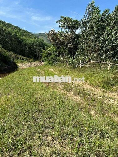 CẦN BÁN LÔ ĐẤT VƯỜN BAM SUOI  ĐẸP – DIỆN TÍCH THỰC TẾ 20.000m²