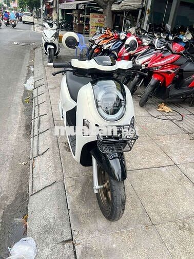 Honda Scoopy cuối 2025 Trắng Mới 99%
