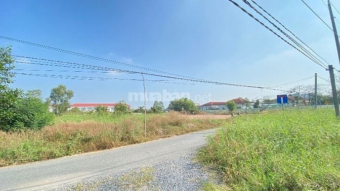 BÁN ĐẤT H.BẾN LỨC 15x95m (1392m2) OTO 3.9 tỷ/2.8tr/m2 TL