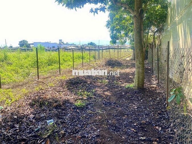 Chính Chủ bán 100m2 full thổ cư trung tâm Ka Đô