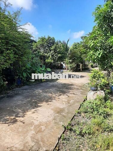 BÁN ĐẤT Ở CẠNH CCN TÂN MỸ; CÁCH ĐT746 30M; SÔNG ĐỒNG NAI 20M, TÂN UYÊN