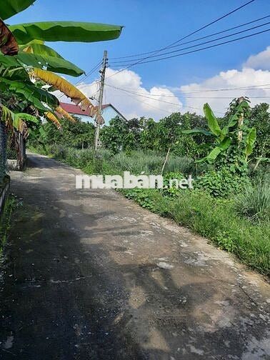 BÁN ĐẤT Ở CẠNH CCN TÂN MỸ; CÁCH ĐT746 30M; SÔNG ĐỒNG NAI 20M, TÂN UYÊN