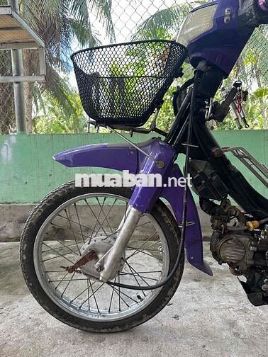 Kawasaki Max Nhật Tím