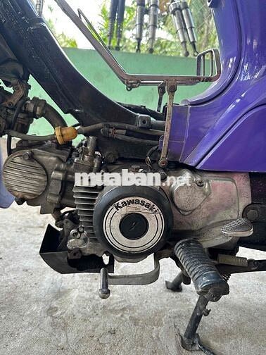 Kawasaki Max Nhật Tím