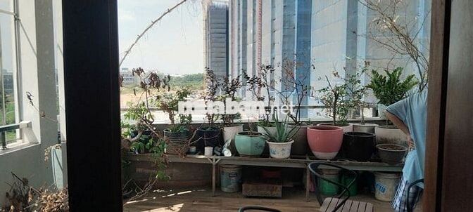Cho thuê nhà MT Thống Nhất 4 tầng 1 tum có Thang máy đối diện Bcons