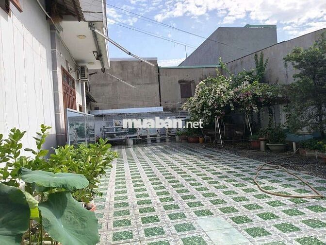 Cho thuê biệt thự 8 phòng có thang máy